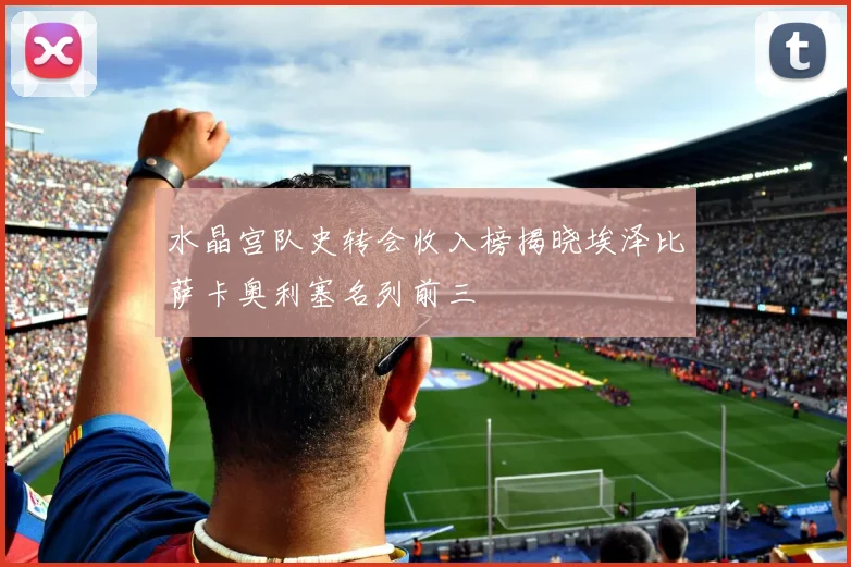 水晶宫队史转会收入榜揭晓埃泽比萨卡奥利塞名列前三